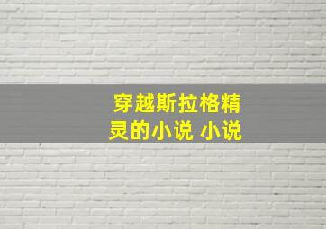 穿越斯拉格精灵的小说 小说